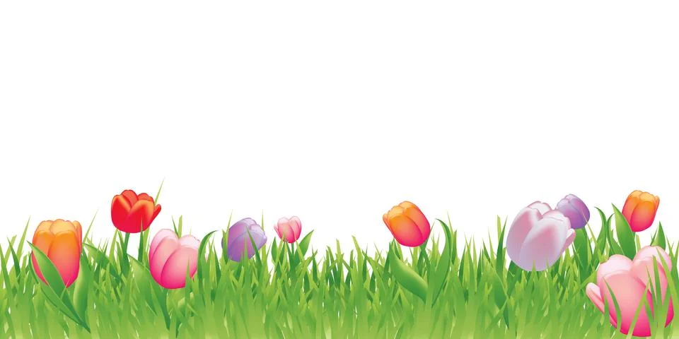 Spring illustration background Stock Illustration