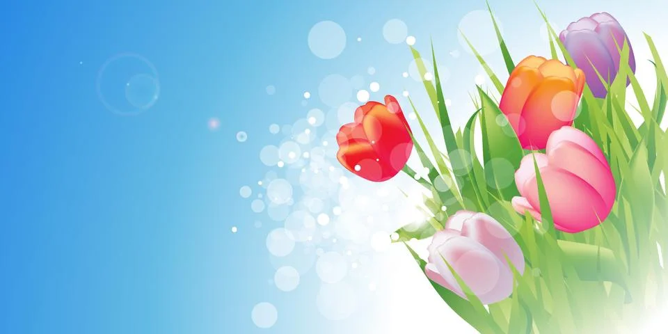 Spring illustration background Stock Illustration