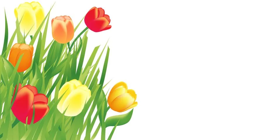 Spring illustration background Stock Illustration