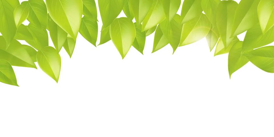 Spring illustration background Stock Illustration