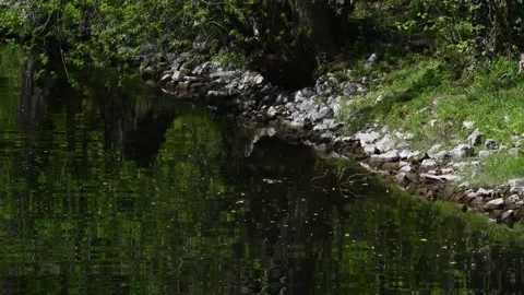Spring Impressions from Western Ditch in Citadel Park in Berlin Spandau, Germany Stock Footage 137759989