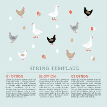 Spring infographics background, card with hens, goose and colorful Easter eggs Stock Illustration