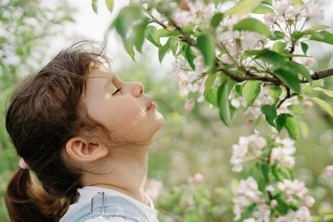 Spring Inspiration, nature in spring Stock Photos