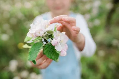 Spring Inspiration, nature in spring Stock Photos