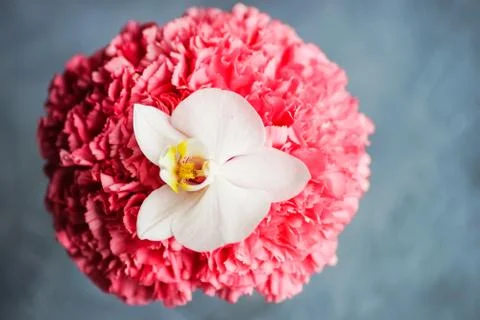 Spring interior concept 스톡 사진