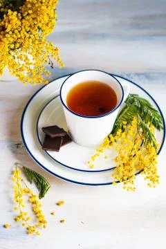 Spring interior concept Stock Photos