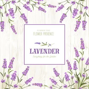 Spring invitation card Stock Illustration