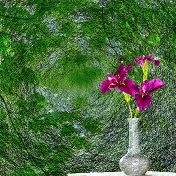 Spring Iris Flowers Stock Photos