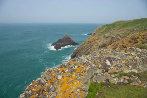 Spring on the Island of Skomer Stock Photos