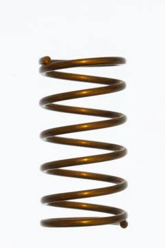 Spring isolated on white background Stock Photos