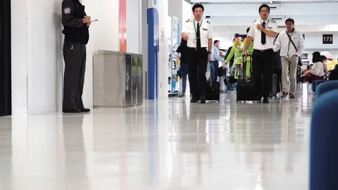 Spring Japan Airline Staff Walking Through Airport Terminal, Cabin Crew, Stock Footage 100587945