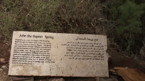 Spring John the Baptist Stock Footage 8776775