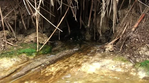 Spring John the Baptist - Jordan River Stock Footage 8776786