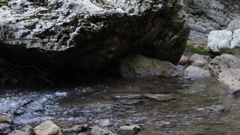 A spring from karst caves , making its way to the big water Stock Footage 258316341