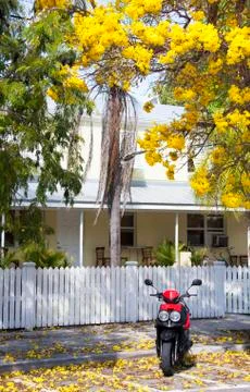 Spring in key west Stock Photos
