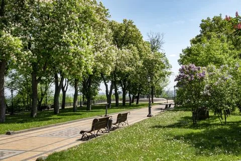 Spring in Kyiv park Stock Photos