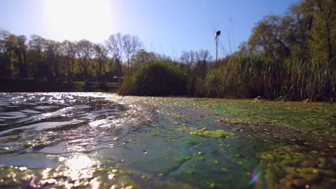 Spring lake covered with silt on windy sunny day Stock Footage 74155401