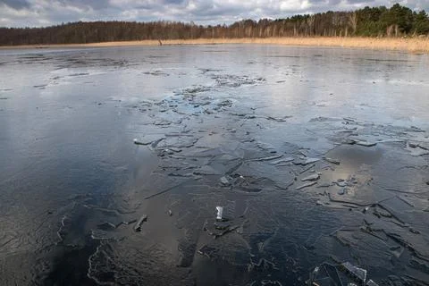 Spring lake covered with thin transparent cracking ice. 写真素材