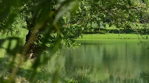 Spring on the lake Stock Footage 91753042