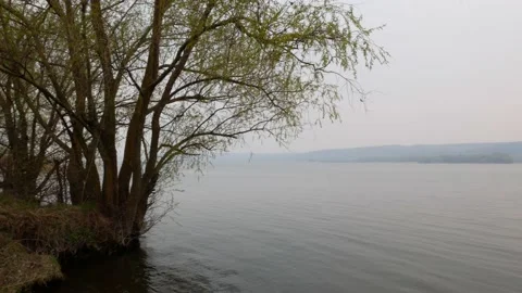 Spring by the lake Stock Footage 230994950