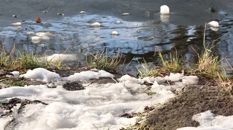 Spring lake with green grass and melt snow Video stock 45589374