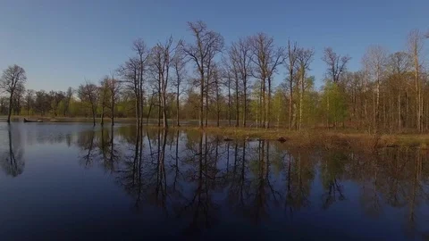 Spring lake or river sunny day 4k POV from boat - panoramic copter fly Stock Footage 77375449
