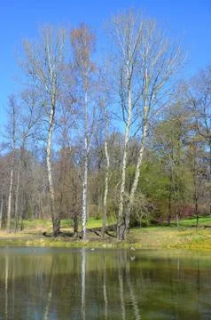 Spring on the lake Stock Photos