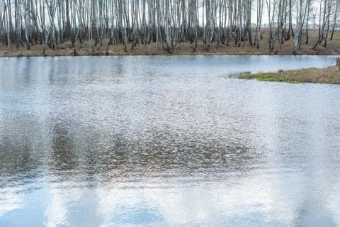 Spring lake with reflection of the sky and trees in good weather in the afternoo Stock Photos