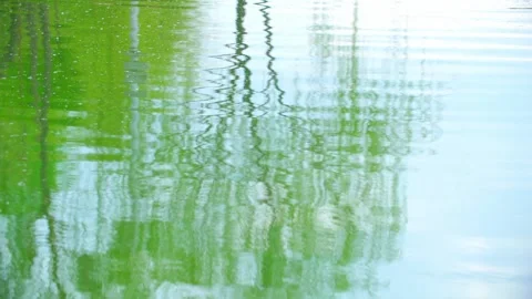 In spring, the lake water reflects the willow water ripples Stock Footage 257288149
