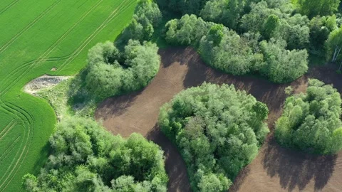 Spring land with crop fields and groves, aerial Stock Footage 261984806