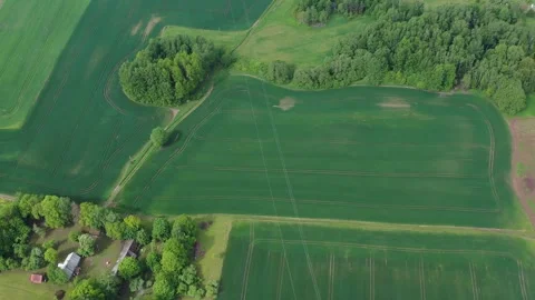 Spring land with crop fields, groves and homestead, aerial Video stock 261282395