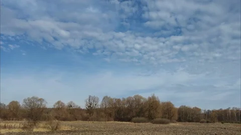 Spring landscape. 2 스톡 동영상 304238059