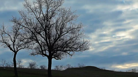 Spring landscape . 4K. FULL HD, 4096x2304. Stock Footage 36816053