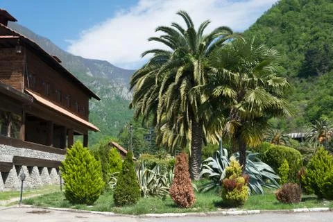 Spring landscape in Abkhazia. Stock Photos