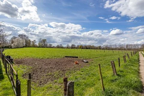 Spring landscape of agricultural plot with bare trees in background Foto stock
