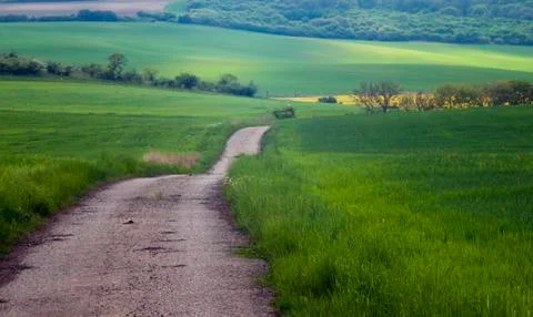 Spring landscape and road Foto stock