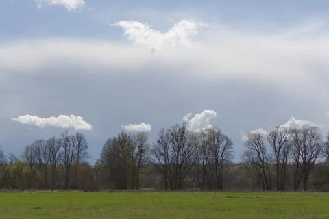 Spring landscape with atmosphere. Stock Photos