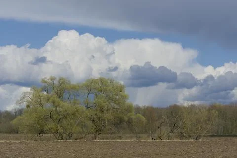 Spring landscape with atmosphere. Foto stock