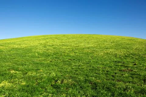 Spring landscape background with blue sky and green grass field. Stock Photos