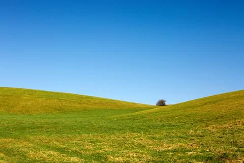 Spring landscape background with blue sky and green grass field. Stock Photos