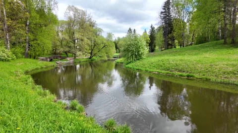 Spring landscape in a beautiful park. Slowmotion Stock Footage 338127863