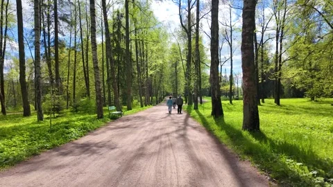 Spring landscape in a beautiful park. Slowmotion Stock Footage 338128051