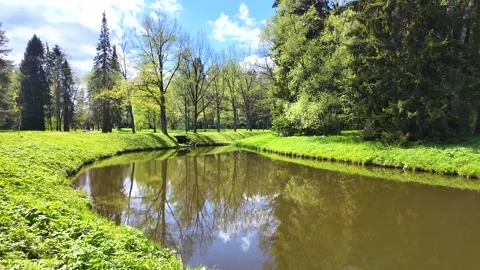 Spring landscape in a beautiful park. Slowmotion Stock Footage 339225367