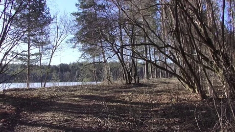Spring landscape between the quarry and the river Western Dvina Stock Footage 103352477