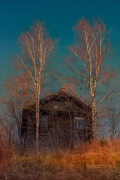 Spring landscape with birch trees and an old wooden house sunset condition. t 스톡 사진