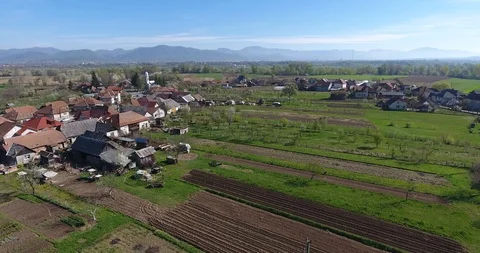 Spring landscape with brids flying Stock Footage 91534894