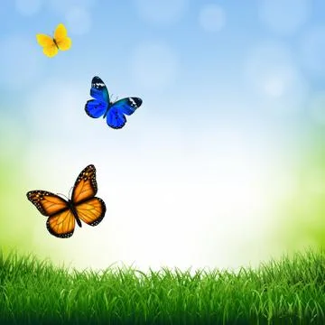 Spring Landscape With Butterfly Stock Illustration