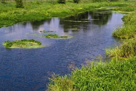 Spring landscape with the Bystrzyca River. Stock Photos