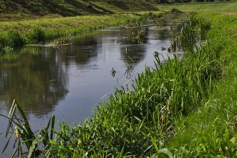 Spring landscape with the Bystrzyca River. Stock Photos