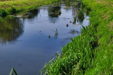 Spring landscape with the Bystrzyca River. Stock Photos